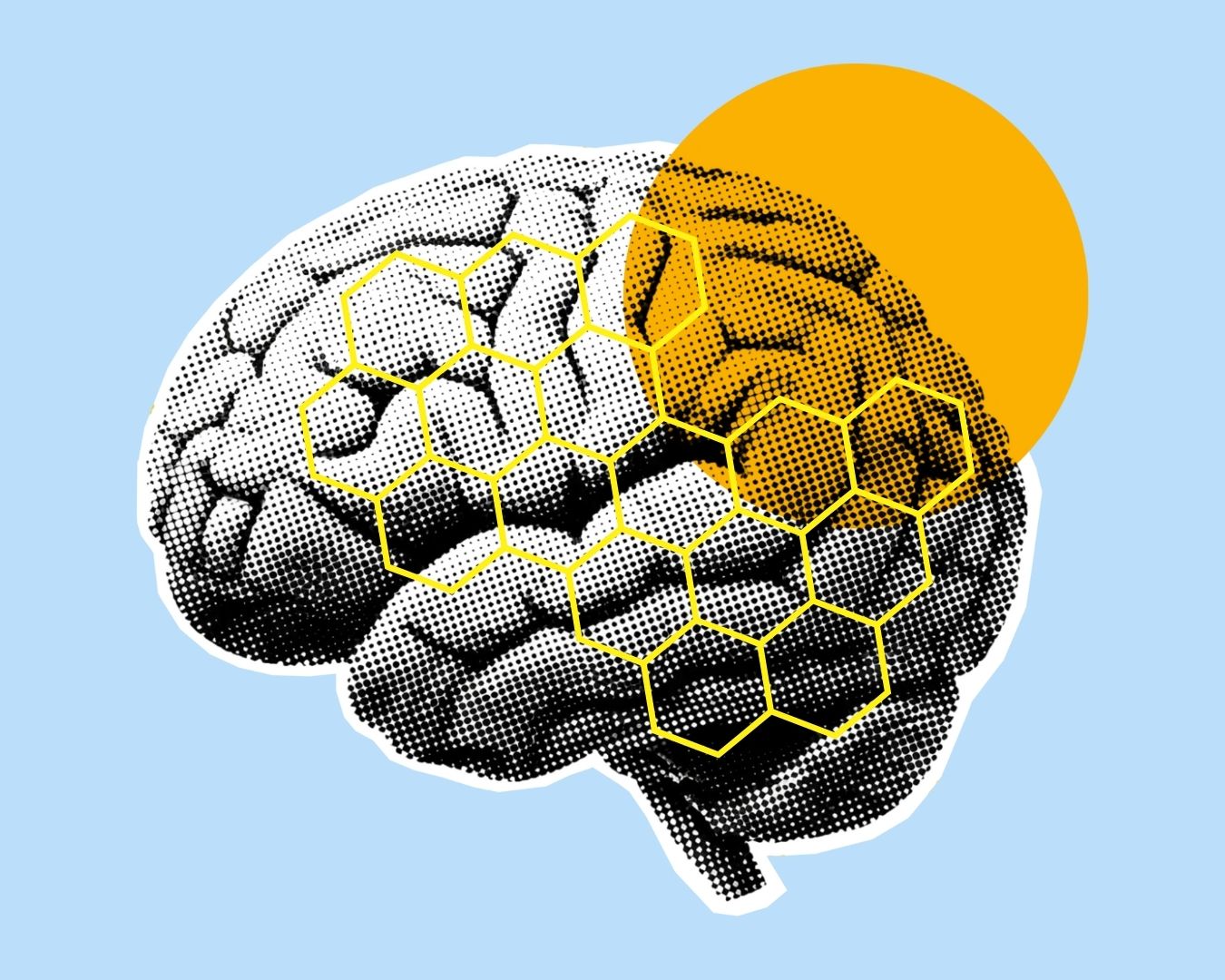 مسابقات دانش مغز