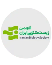 همراهان المپینو 1