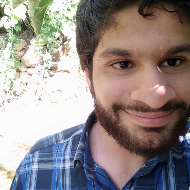 محمدحسین موسوی منزه